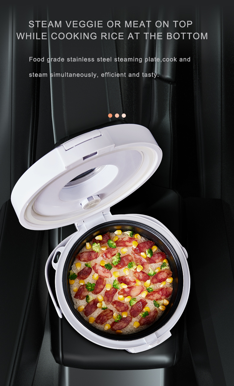 Olla Arrocera de 24V, Calentad - Camping No Cooking Meals reseña y precio